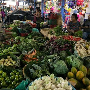 Meet your Posher, Lori